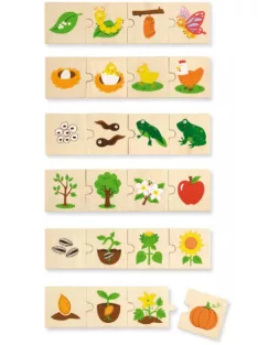 Készségfejlesztő Puzzle (fejlődés) B