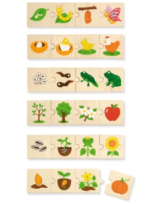 Készségfejlesztő Puzzle (fejlődés) B