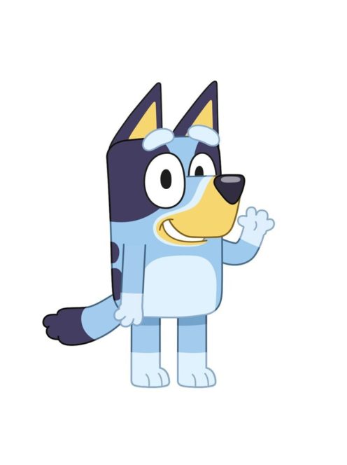 Bluey formapárna, díszpárna 21x31 cm Nr3
