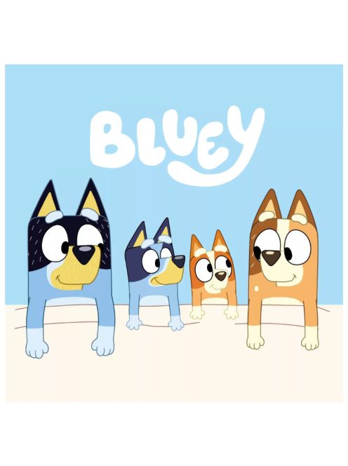 Bluey Cozy kéztörlő, arctörlő, törölköző 30x30 cm