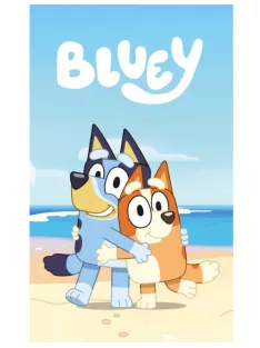 Bluey Cozy polár takaró, pléd 100x140 cm Nr1