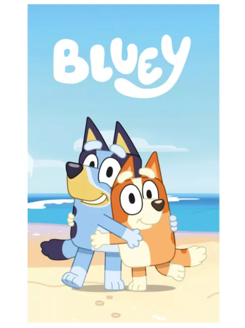 Bluey Cozy polár takaró, pléd 100x140 cm Nr1