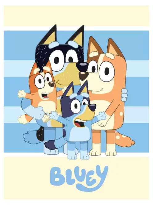Bluey Happiness polár takaró, pléd 100x140 cm Nr3