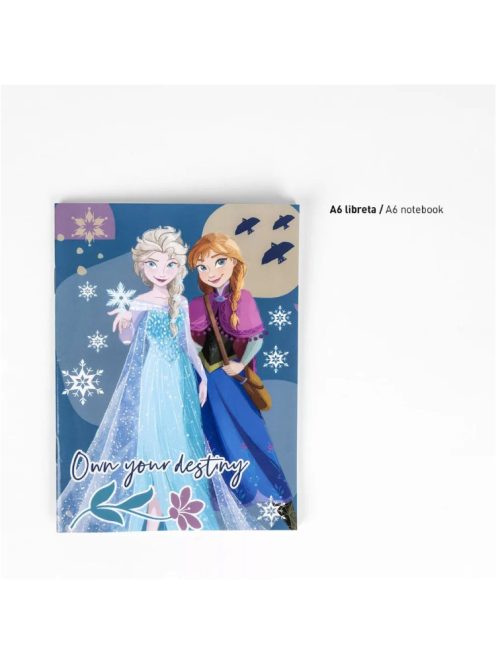 Disney Jégvarázs Destiny írószer szett Nr3