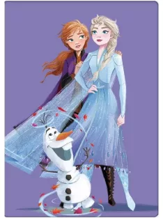 Disney Jégvarázs polár takaró, pléd 100x140 cm Nr1