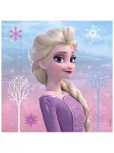   Disney Frozen, Jégvarázs Wind szalvéta 20 DARABOS, 33x33 cm FSC Nr2