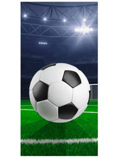 Focis fürdőlepedő, strandtörölköző 70x140 cm Nr3