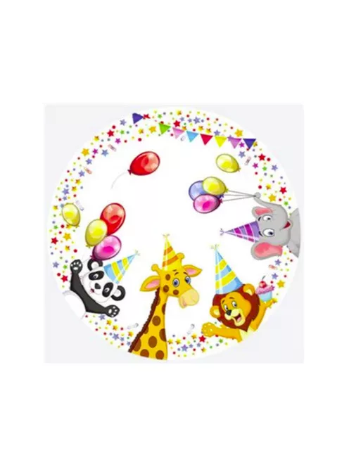 Happy Birthday papírtányér, party tányér 8 DARABOS, 23 cm Nr5