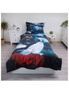 Harry Potter ágyneműhuzat Hogwarts Express 140×200cm, 70×90 cm Nr6