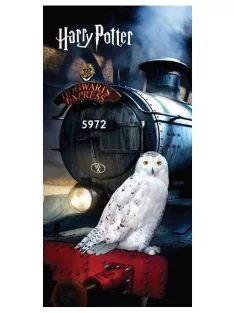   Harry Potter fürdőlepedő, strandtörölköző 70x140 cm Nr 03