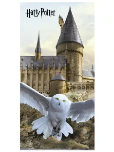   Harry Potter fürdőlepedő, strandtörölköző 70x140 cm Nr 05