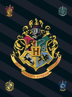 Harry Potter polár takaró, pléd 100x140 cm Nr1