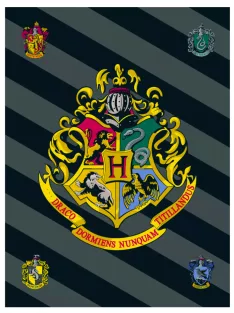 Harry Potter polár takaró, pléd 100x150 cm Nr4
