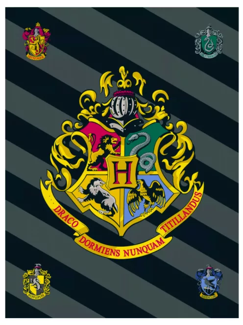 Harry Potter polár takaró, pléd 100x150 cm Nr4