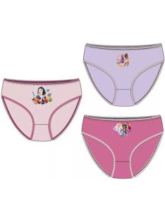   Hercegnők gyerek fehérnemű, bugyi 3 darab/csomag 3 év, 4 év, 5 év, 6 év Nr2