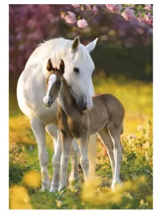 Lovas Spring Foal A/4 gumis mappa Nr4