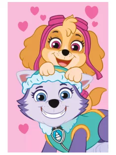 Mancs Őrjárat Pink polár takaró, pléd 100x150 cm Nr14