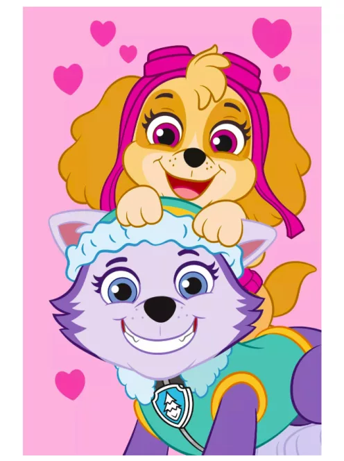 Mancs Őrjárat polár takaró, pléd 100x150 cm Nr15