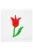 Ovis jel, Bölcsis jel, felvarrható, textilragasztóval felragasztható - Tulipán (5 DARABTÓL RENDELHETŐ)