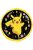 Pokémon Thunder fólia lufi 43 cm Nr2