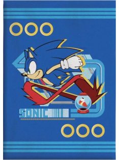 Sonic a sündisznó polár takaró, pléd 100x140 cm Nr4