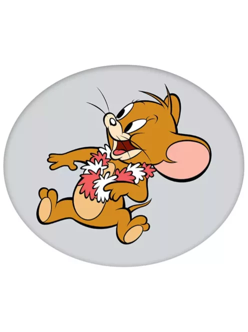 Tom és Jerry Garland formapárna, díszpárna 35 cm Nr2