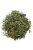 Zöld tea - Sex on the Beach - 1 KG-OS ÉS FÉL KG-OS KISZERELÉSBEN