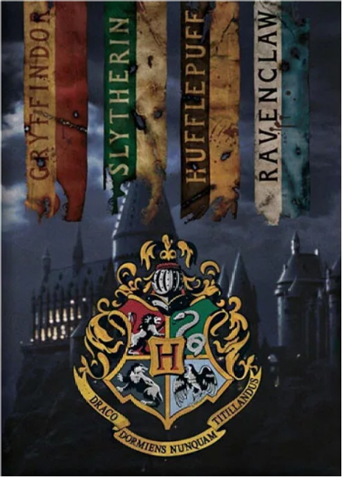 Image of Harry Potter Houses polár takaró, pléd 100x140 cm Nr3